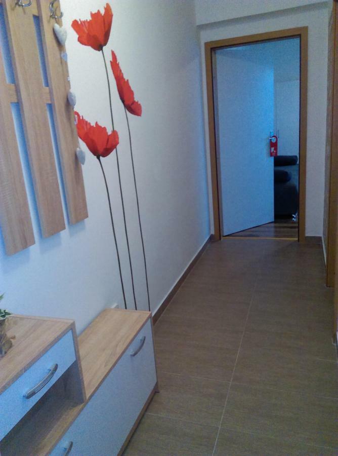Studio Apartman Zdral ดารูวาร์ ภายนอก รูปภาพ